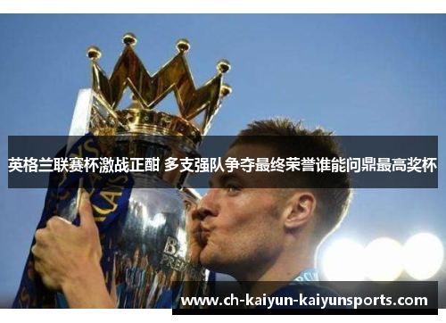 英格兰联赛杯激战正酣 多支强队争夺最终荣誉谁能问鼎最高奖杯