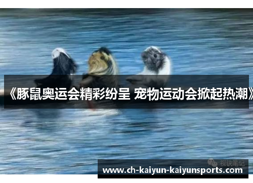 《豚鼠奥运会精彩纷呈 宠物运动会掀起热潮》